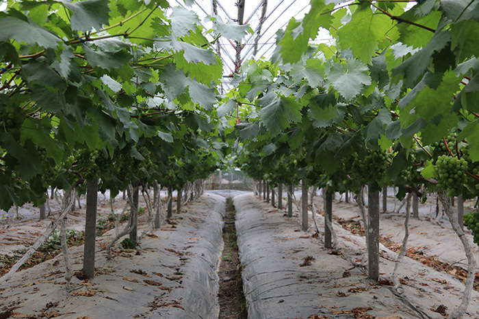 1513330095470494D51U.jpg 圖片88.jpg