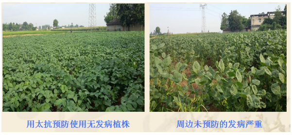 1513332414389103hasu.png blob.png