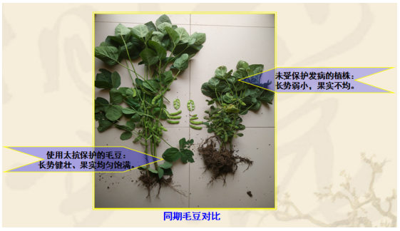 1513332440127059mRBA.png blob.png