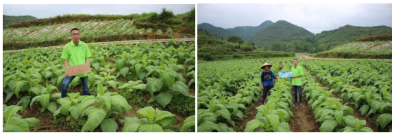 1513333558946770GU8w.png blob.png