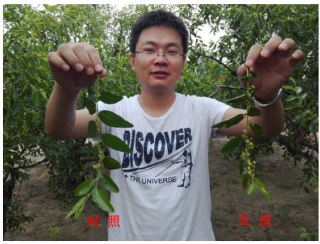 1513334021700584kS7d.png blob.png