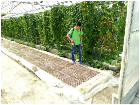 1515667988305618mpgL.png blob.png