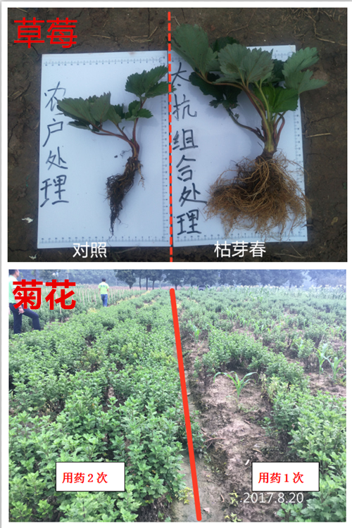 1522287157823638XKXp.png 4.png