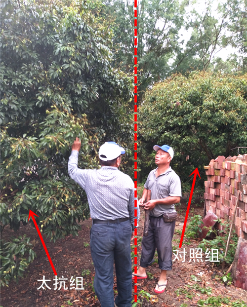 1527235601897374eCva.png 圖片9_副本.png