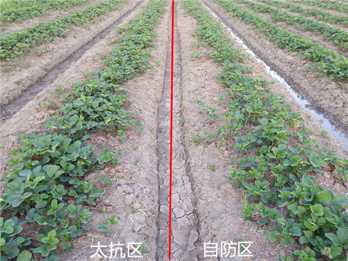 1530084924144633SBU8.png 圖片7.png