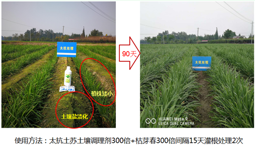 15312137064602199AgZ.png 圖片8.png