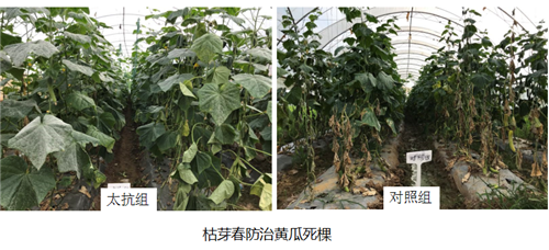 1531215351506132QQUK.png 圖片17.png