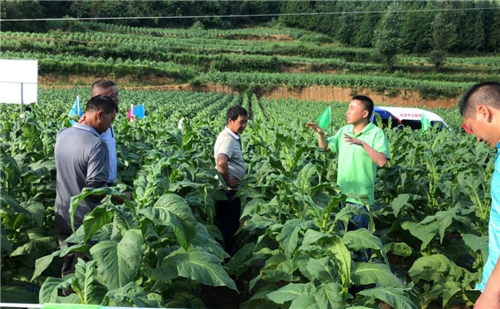 1531293075407113fuzh.png 圖片7.png