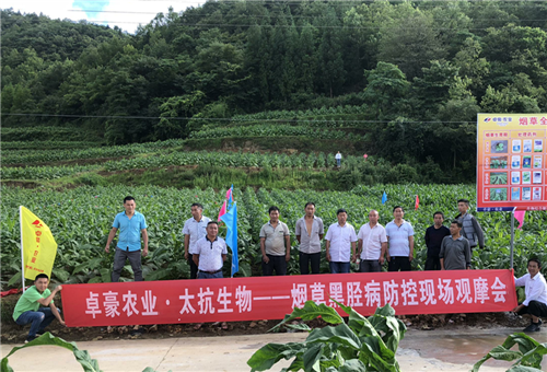 1531293168321164Uu4R.png 圖片9.png