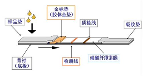 15319010915558265CIH.png 圖片2.png