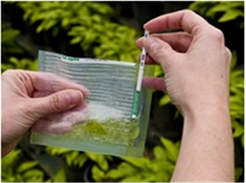 153190111779665887eT.png 圖片5.png