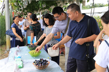 15331771468957297MCN.png 圖片16.png