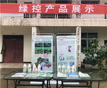 15331773957546839Zh7.png 圖片3.png