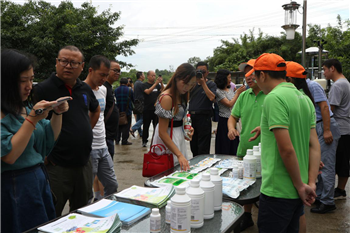 153317740862217376vr.png 圖片5.png