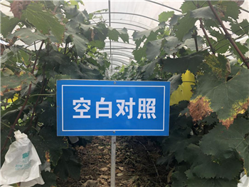 1533177659806044DPBF.png 圖片10.png