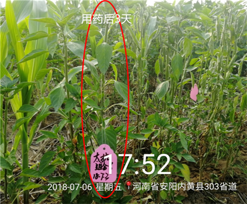 15353393918125731UXr.png 圖片3.png