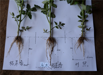 1536286913642760iD6j.png 圖片6.png