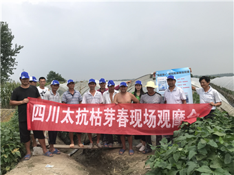 1536628659122456SXkp.png 圖片8.png