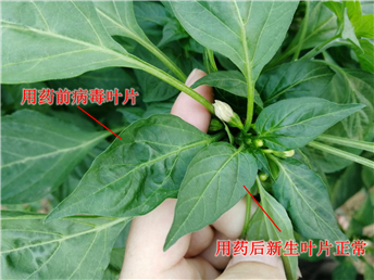 1539073003784027d7EX.png 圖片3.png