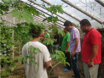 1539162052265642nFF0.png 圖片9.png