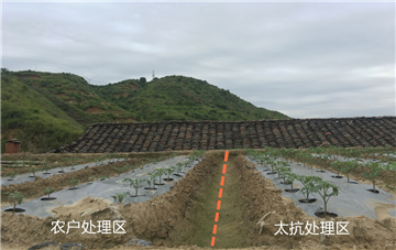 1539163084587271Y8nV.png 圖片2.png