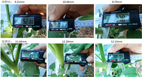 1539163200970036ZKeT.png 圖片6.png