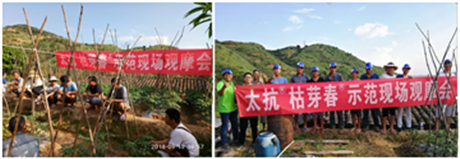 1539163207365374nGbX.png 圖片7.png