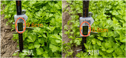 1540802318321060Cjko.png 圖片4.png