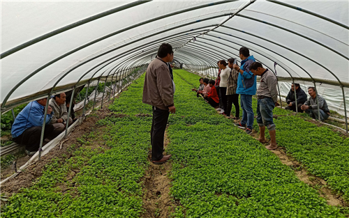 1540802342242273BDP4.png 圖片6.png