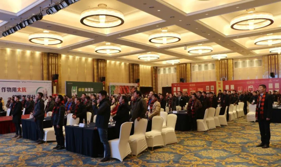 1548406675585901Bhpg.png 圖片2.png