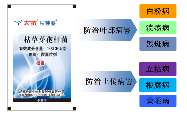 1554774066222372k0w9.png 圖片11.png