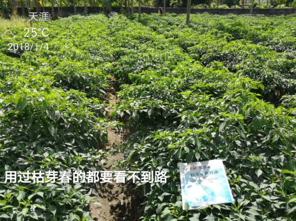 15547745451730724346.png 圖片20.png