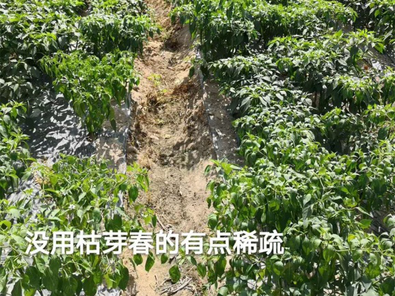 1554774560784751BFJX.png 圖片21.png