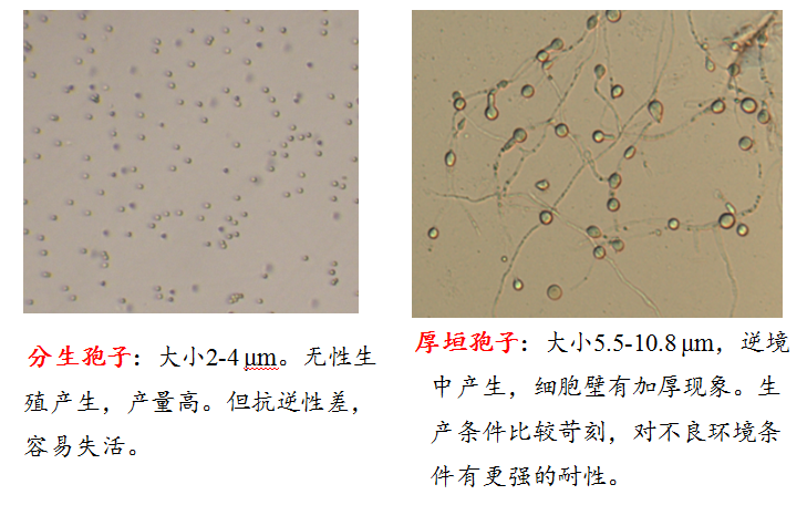 1555054176360226NW7Z.png 圖片4.png