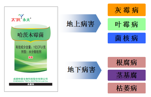 1555054187908786dLFF.png 圖片5.png