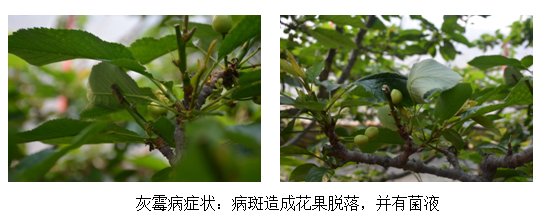 1555054213147111VM9p.png 圖片6.png