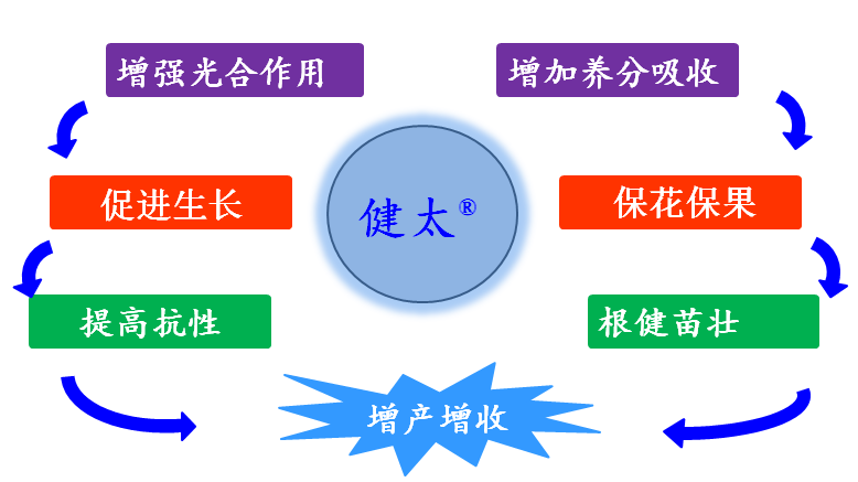 1555913996129462AGRN.png 圖片2.png