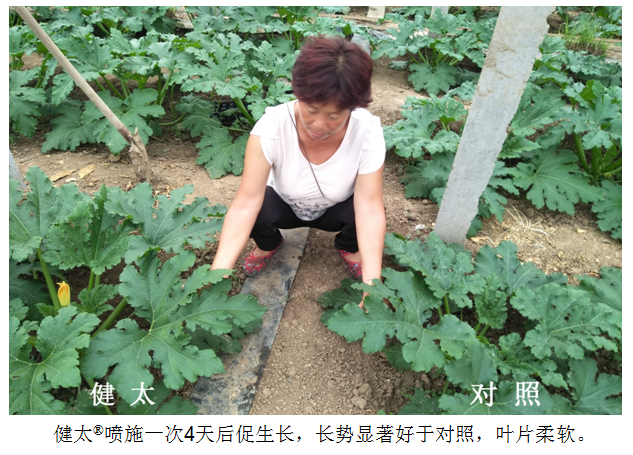 1555914019129816bQwk.png 圖片3.png