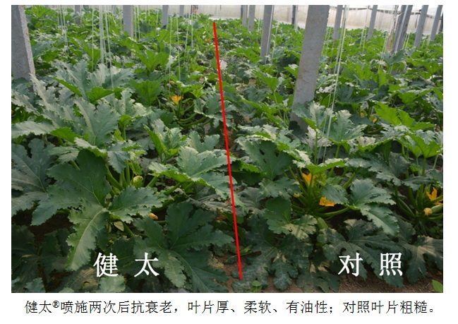 1555914043474227wErm.png 圖片4.png