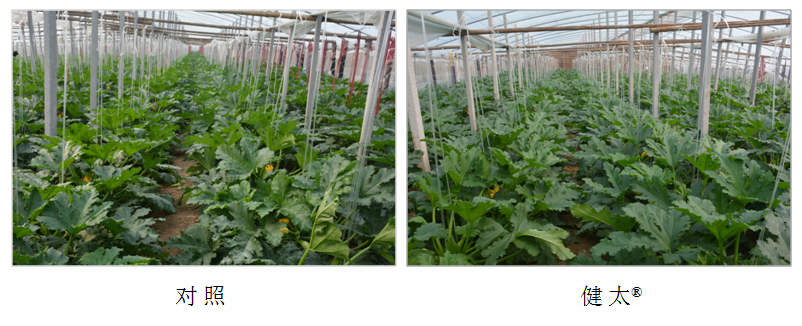 1555914473670872Xjh5.png 圖片7.png