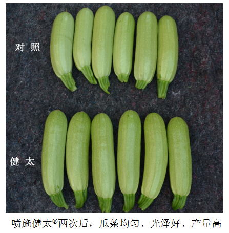 1555914948378696c7tG.png 圖片9.png