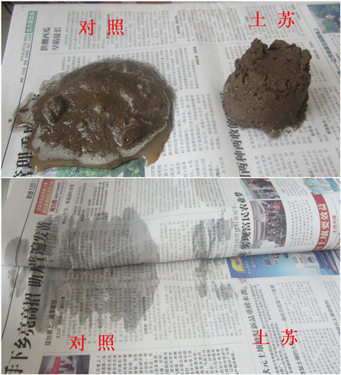 1555990650535479uCDC.png 圖片4_副本.png