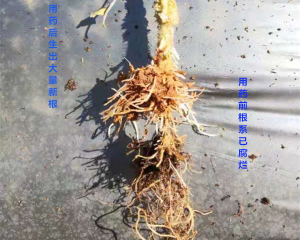 1566439702232357fulf.png 圖片4.png