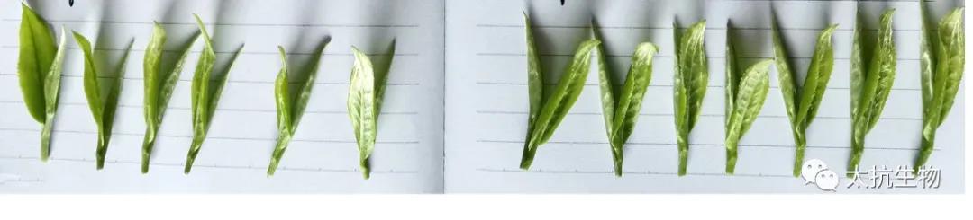 1634397567404849IHY4.jpg 微信圖片_20211016230523.jpg