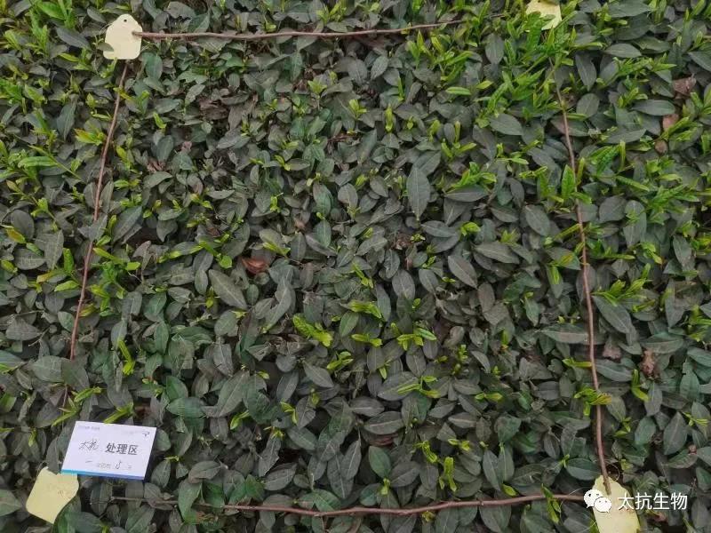 1634398554110641gPSR.jpg 微信圖片_20211016230451.jpg