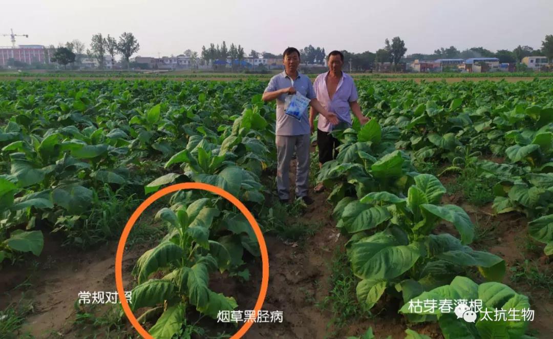 1634826373250721umrX.jpg 微信圖片_20211021221426.jpg