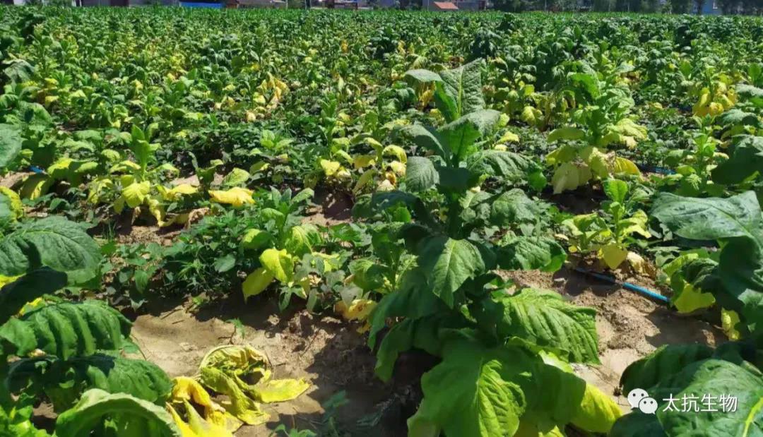 1634826484601300CS6i.jpg 微信圖片_20211021221532.jpg