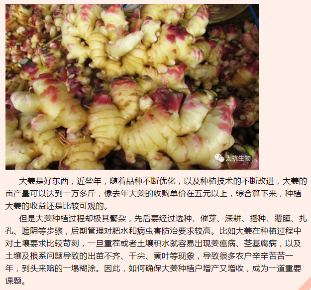 1638429338623041wGp5.png 微信截圖_20211201170633.png